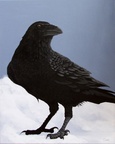 The Birds